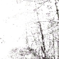 Agalloch The White EP Album Cover