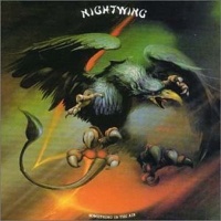 [Nightwing Something in the Air Album Cover]