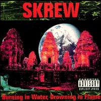 [Skrew Burning In Water, Drowning In Flame Album Cover]