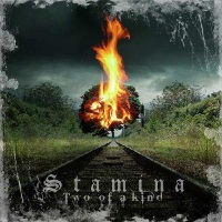 Stamina Two of a Kind Album Cover